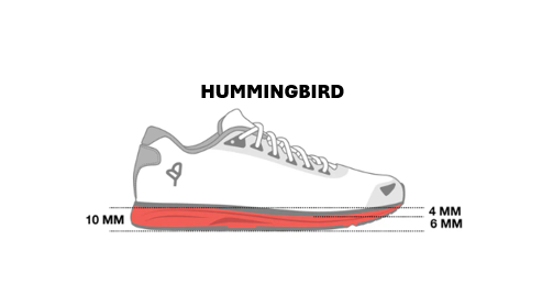Discover our HUMMINGBIRD model